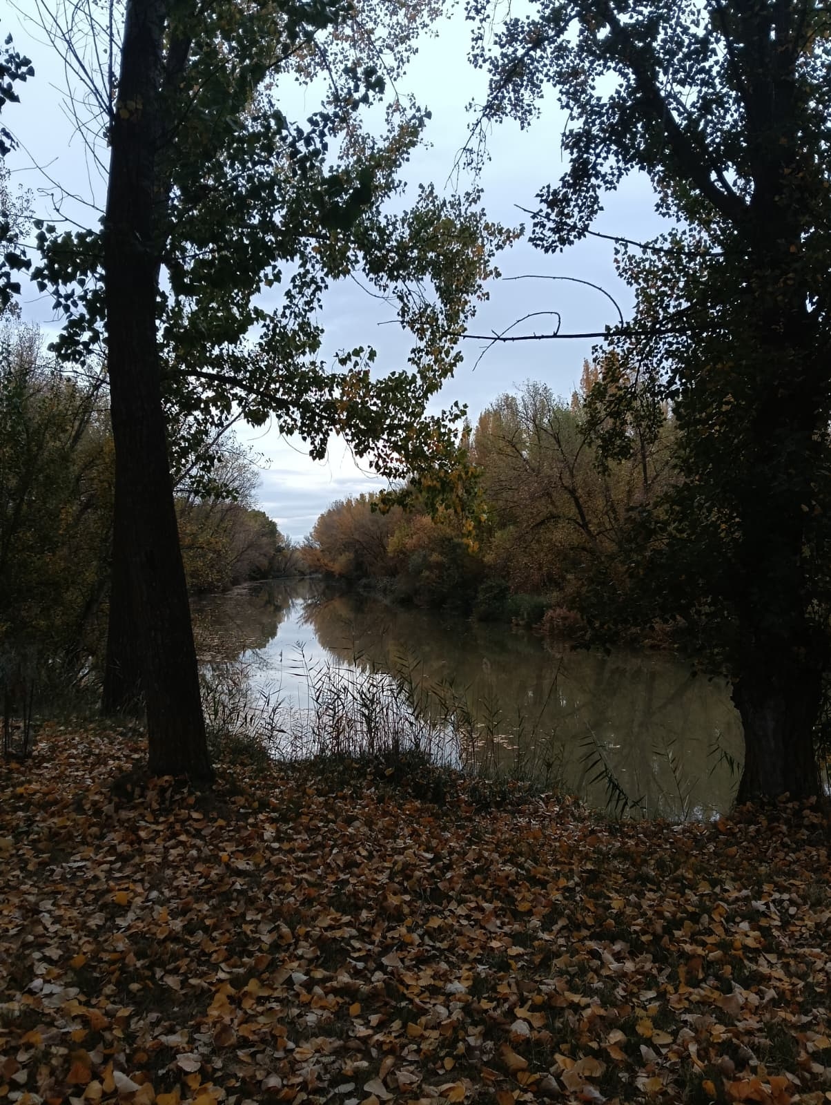 Imagen san esteban de gormaz 